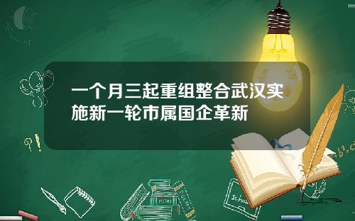 一个月三起重组整合武汉实施新一轮市属国企革新