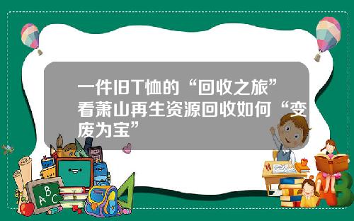 一件旧T恤的“回收之旅”看萧山再生资源回收如何“变废为宝”