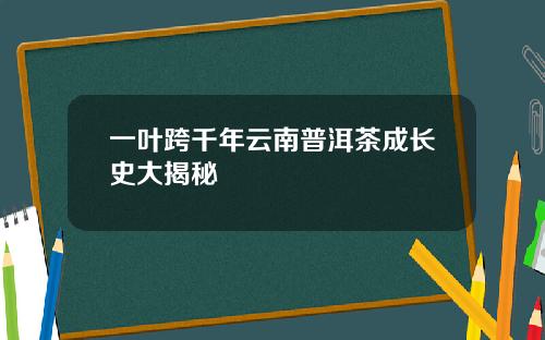 一叶跨千年云南普洱茶成长史大揭秘