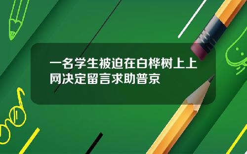 一名学生被迫在白桦树上上网决定留言求助普京