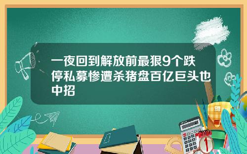 一夜回到解放前最狠9个跌停私募惨遭杀猪盘百亿巨头也中招