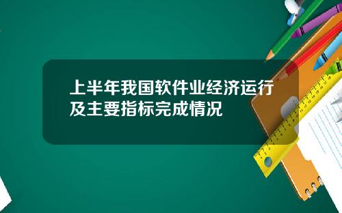 上半年我国软件业经济运行及主要指标完成情况