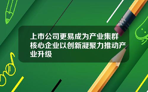 上市公司更易成为产业集群核心企业以创新凝聚力推动产业升级