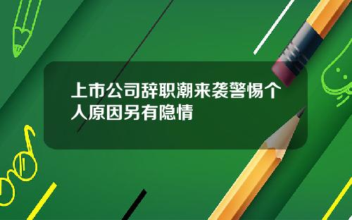 上市公司辞职潮来袭警惕个人原因另有隐情