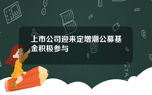 上市公司迎来定增潮公募基金积极参与