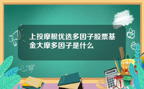 上投摩根优选多因子股票基金大摩多因子是什么