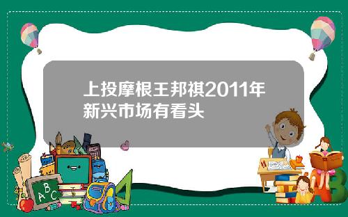 上投摩根王邦祺2011年新兴市场有看头