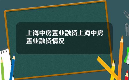 上海中房置业融资上海中房置业融资情况