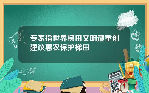 专家指世界梯田文明遭重创建议惠农保护梯田