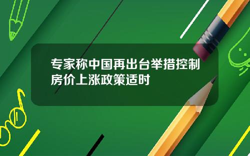 专家称中国再出台举措控制房价上涨政策适时