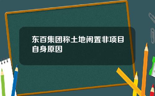 东百集团称土地闲置非项目自身原因