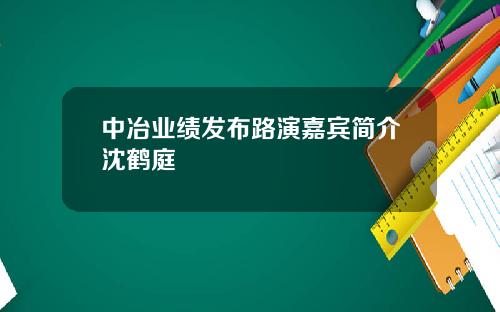 中冶业绩发布路演嘉宾简介沈鹤庭