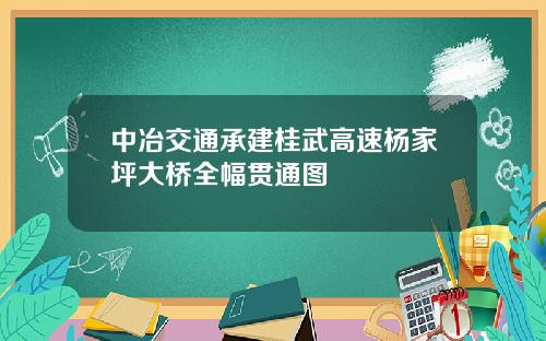 中冶交通承建桂武高速杨家坪大桥全幅贯通图