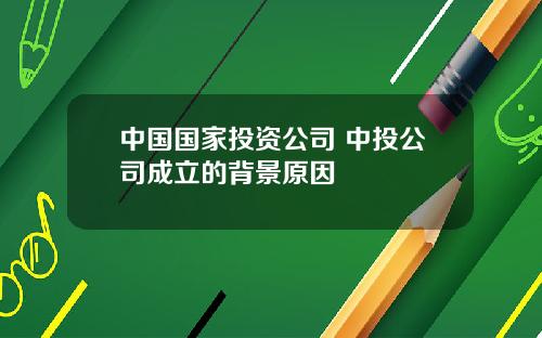 中国国家投资公司 中投公司成立的背景原因