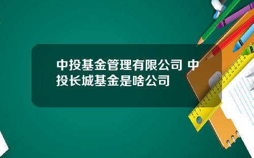 中投基金管理有限公司 中投长城基金是啥公司