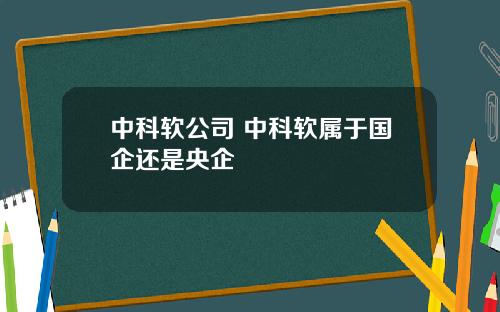 中科软公司 中科软属于国企还是央企