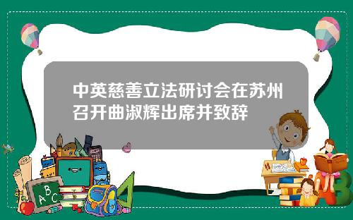 中英慈善立法研讨会在苏州召开曲淑辉出席并致辞