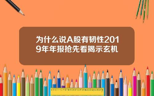 为什么说A股有韧性2019年年报抢先看揭示玄机