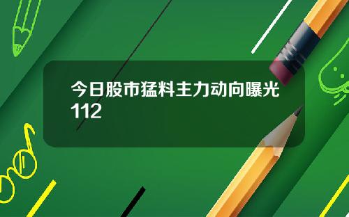 今日股市猛料主力动向曝光112