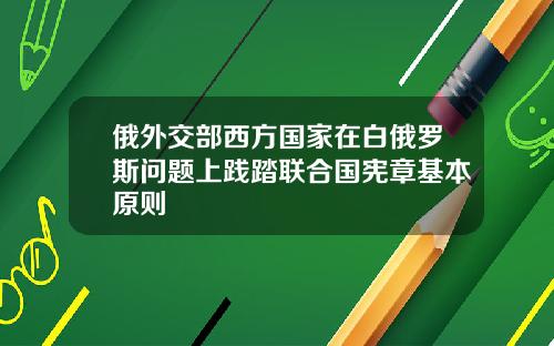 俄外交部西方国家在白俄罗斯问题上践踏联合国宪章基本原则