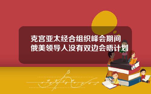 克宫亚太经合组织峰会期间俄美领导人没有双边会晤计划