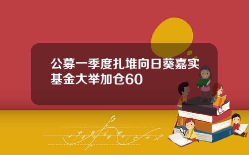 公募一季度扎堆向日葵嘉实基金大举加仓60