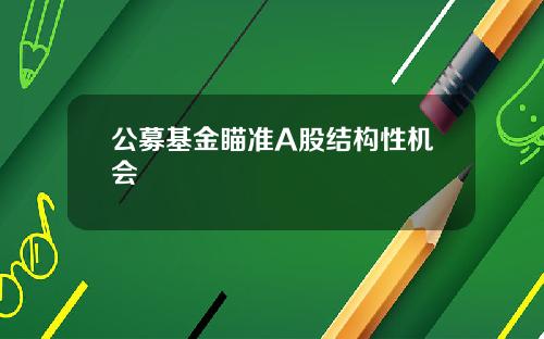 公募基金瞄准A股结构性机会