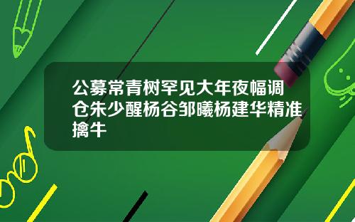 公募常青树罕见大年夜幅调仓朱少醒杨谷邹曦杨建华精准擒牛