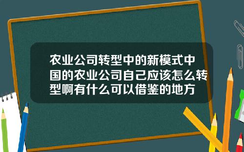 农业公司转型中的新模式中国的农业公司自己应该怎么转型啊有什么可以借鉴的地方