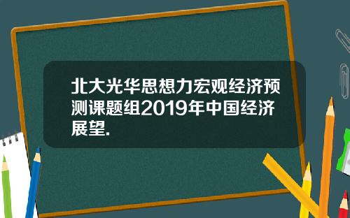 北大光华思想力宏观经济预测课题组2019年中国经济展望.