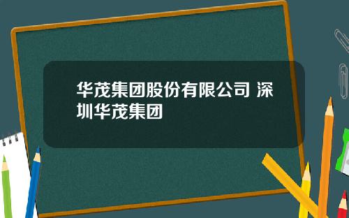 华茂集团股份有限公司 深圳华茂集团