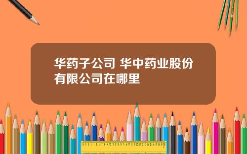 华药子公司 华中药业股份有限公司在哪里