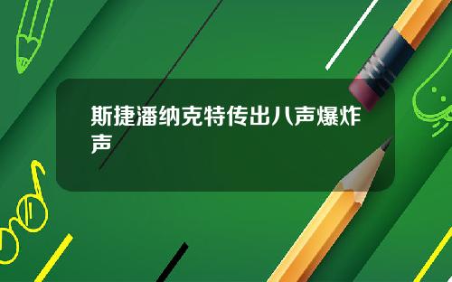 斯捷潘纳克特传出八声爆炸声