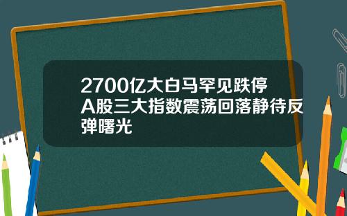 2700亿大白马罕见跌停A股三大指数震荡回落静待反弹曙光