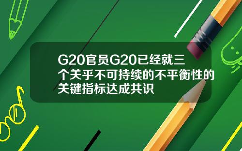 G20官员G20已经就三个关乎不可持续的不平衡性的关键指标达成共识