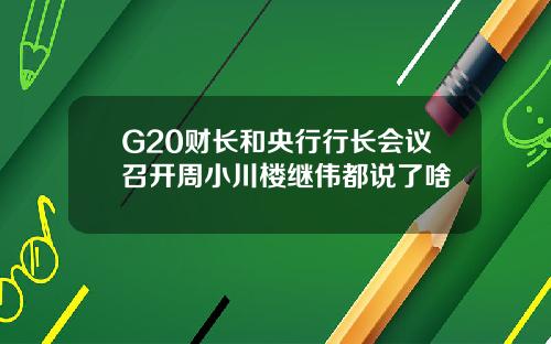 G20财长和央行行长会议召开周小川楼继伟都说了啥