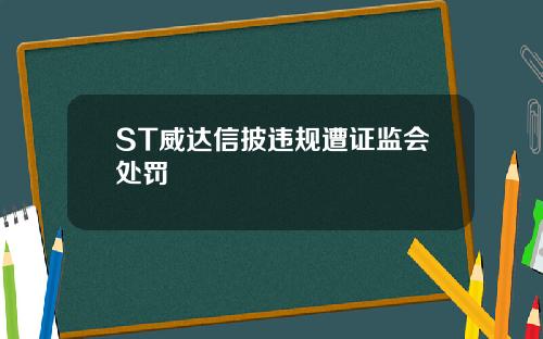 ST威达信披违规遭证监会处罚