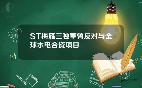 ST梅雁三独董曾反对与全球水电合资项目