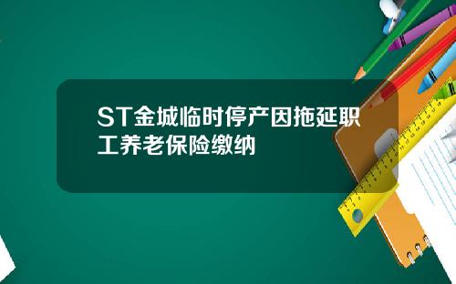 ST金城临时停产因拖延职工养老保险缴纳