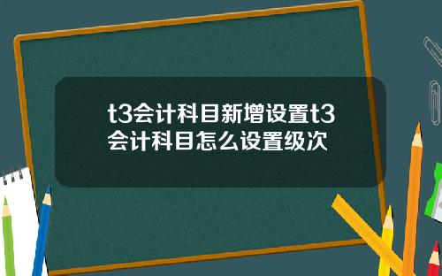 t3会计科目新增设置t3会计科目怎么设置级次