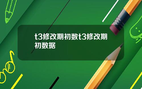 t3修改期初数t3修改期初数据