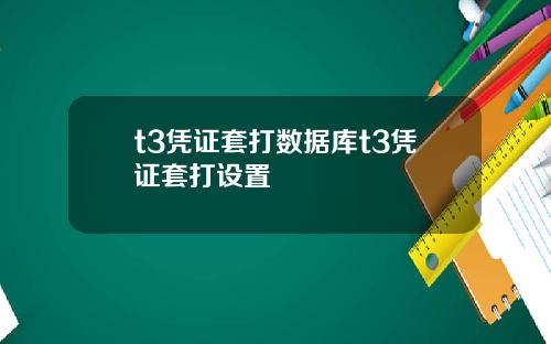 t3凭证套打数据库t3凭证套打设置