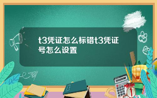 t3凭证怎么标错t3凭证号怎么设置