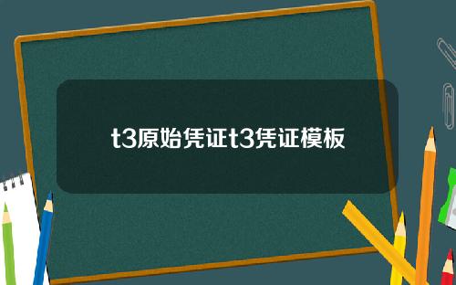 t3原始凭证t3凭证模板