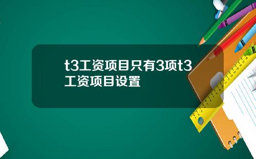 t3工资项目只有3项t3工资项目设置