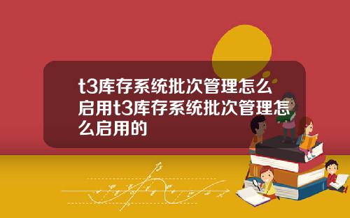 t3库存系统批次管理怎么启用t3库存系统批次管理怎么启用的