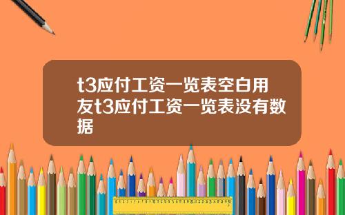 t3应付工资一览表空白用友t3应付工资一览表没有数据