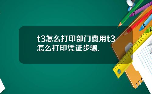 t3怎么打印部门费用t3怎么打印凭证步骤.