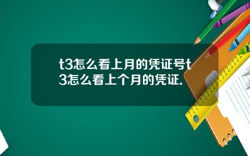 t3怎么看上月的凭证号t3怎么看上个月的凭证.