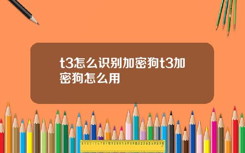 t3怎么识别加密狗t3加密狗怎么用